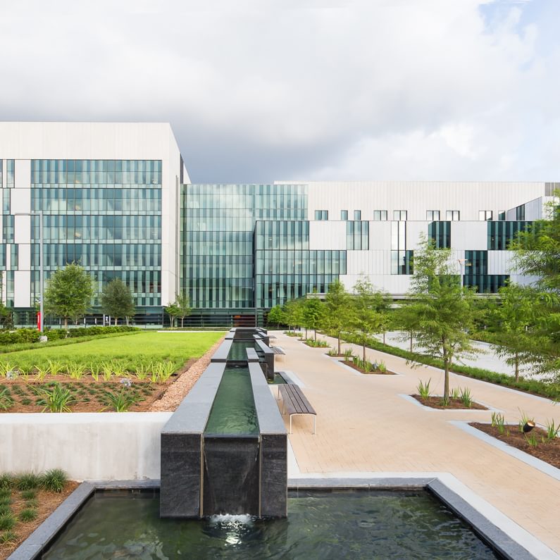 LSU Univeristy Medical Center Exterior 10