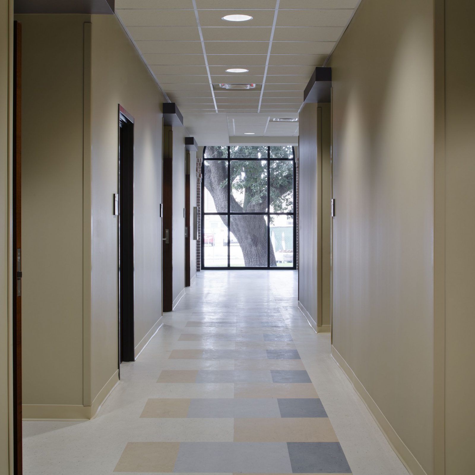 MAPP LSU Animal Food Science 004